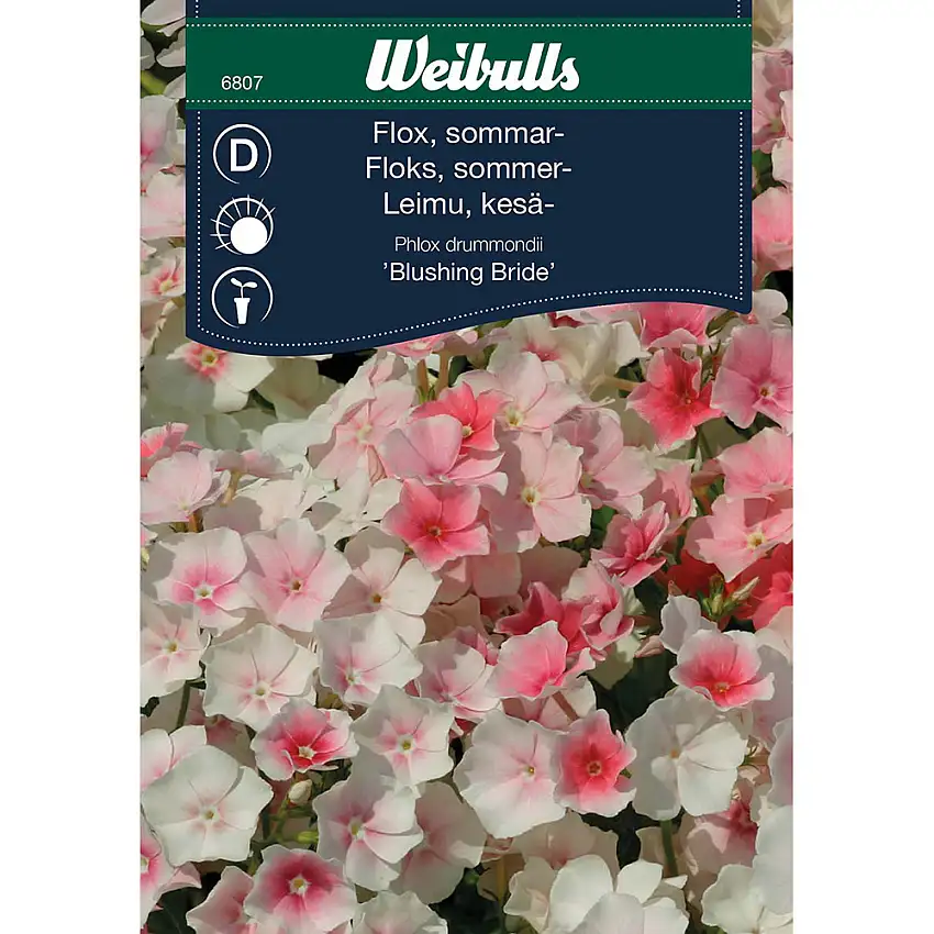 Frö Flox WeibullsBlushing Bride