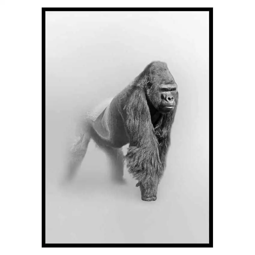 Poster GallerixFaded Gorilla