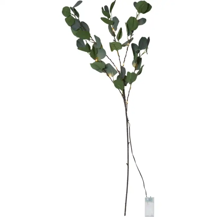 Dekorationskvist Star TradingEucalyptus