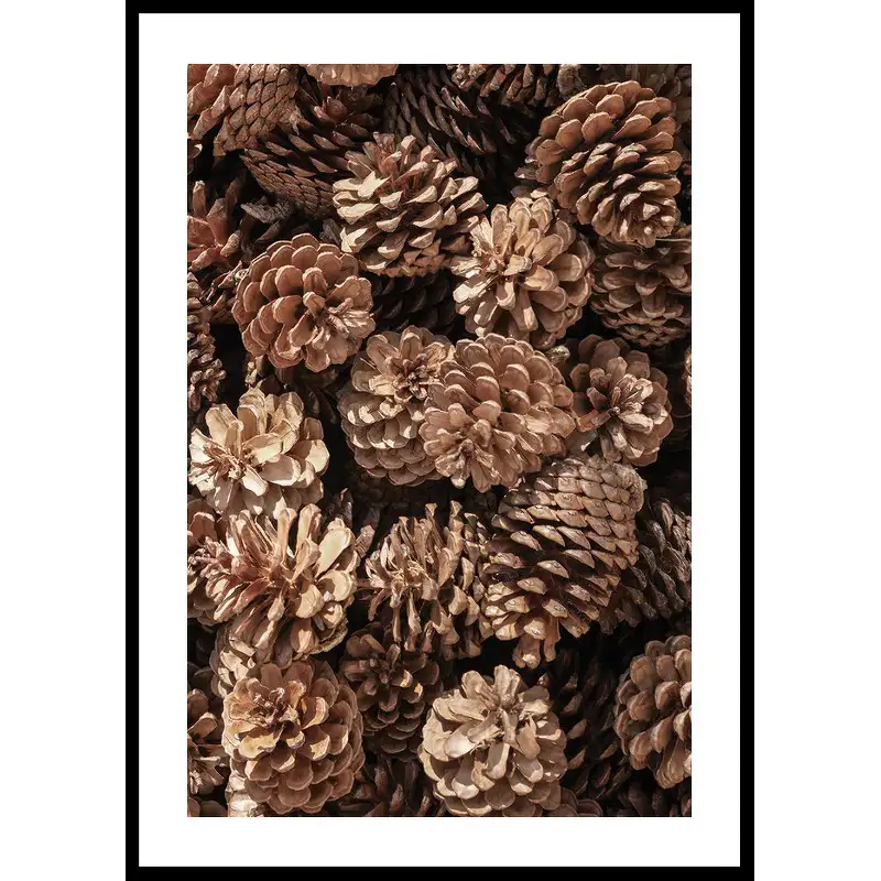 Poster GallerixFir Cones Close Up30x40 cm
