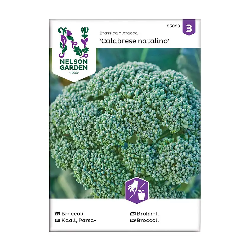 Frö Broccoli Nelson GardenCalabrese natalino