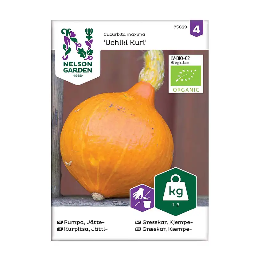 Frö Jättepumpa Nelson GardenUchiki Kuri Organic