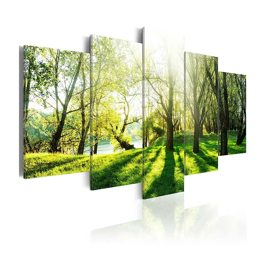 Tavla ArkiioGreen Glade200x100 cm