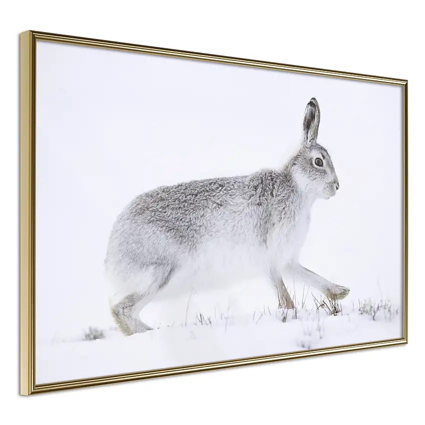 Poster ArtgeistAffisch RabbitGuld ram, 45x30 cm