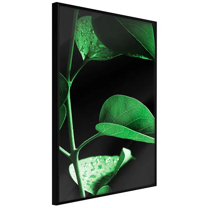 Poster ArtgeistAffisch Plant in BlackSvart ram, 30x45 cm