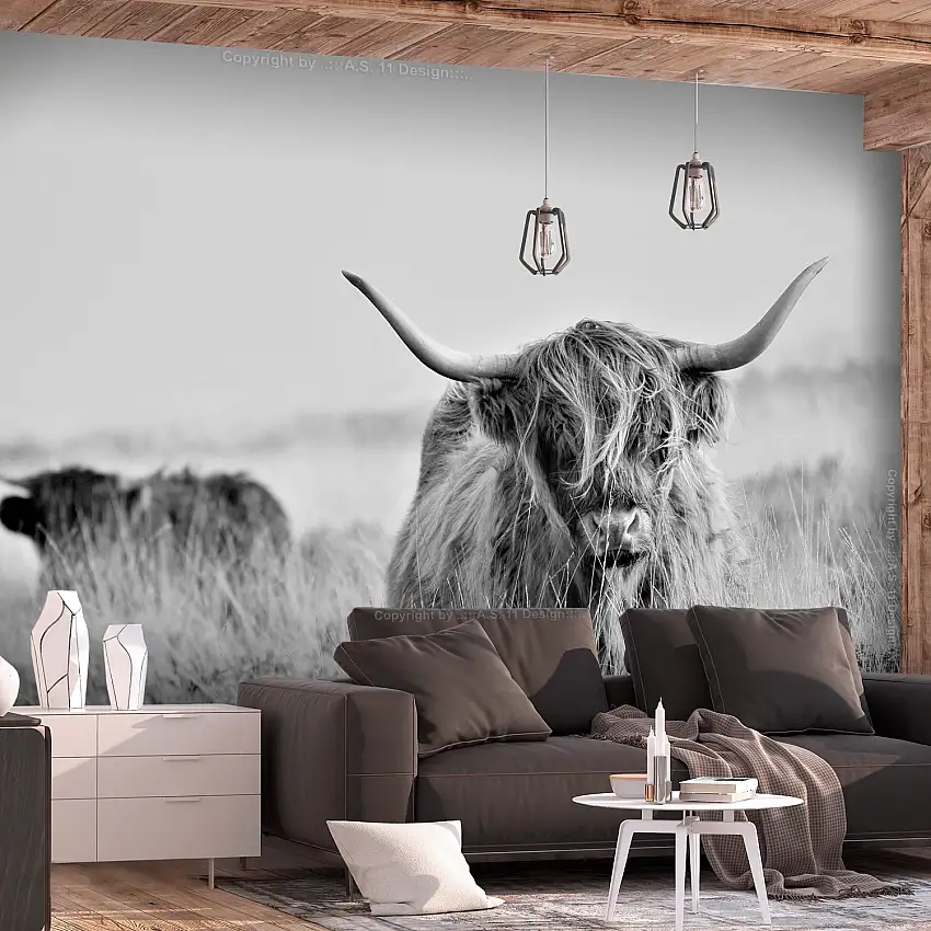 Fototapet ArkiioHighland Cattle